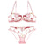 Underwear explosions transparent mesh embroidered bra bra set