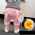 Children's Clothing Baby Plus Velvet Pants Autumn And Winter